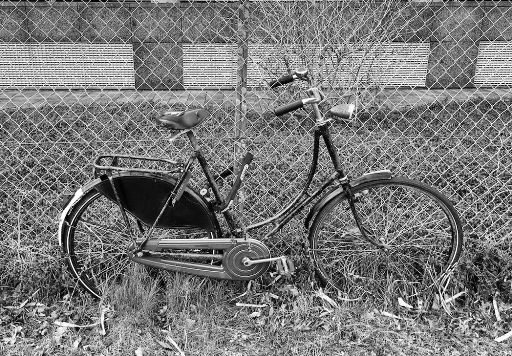 icit1118_snapseed-copy