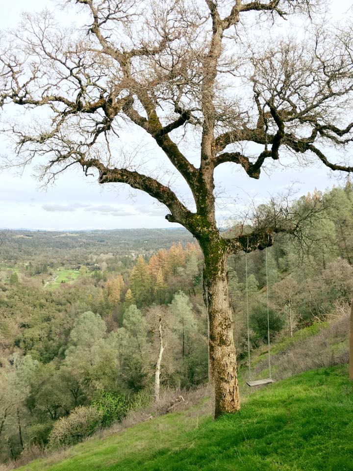 12715490_10208756559336325_6917178274429924820_n